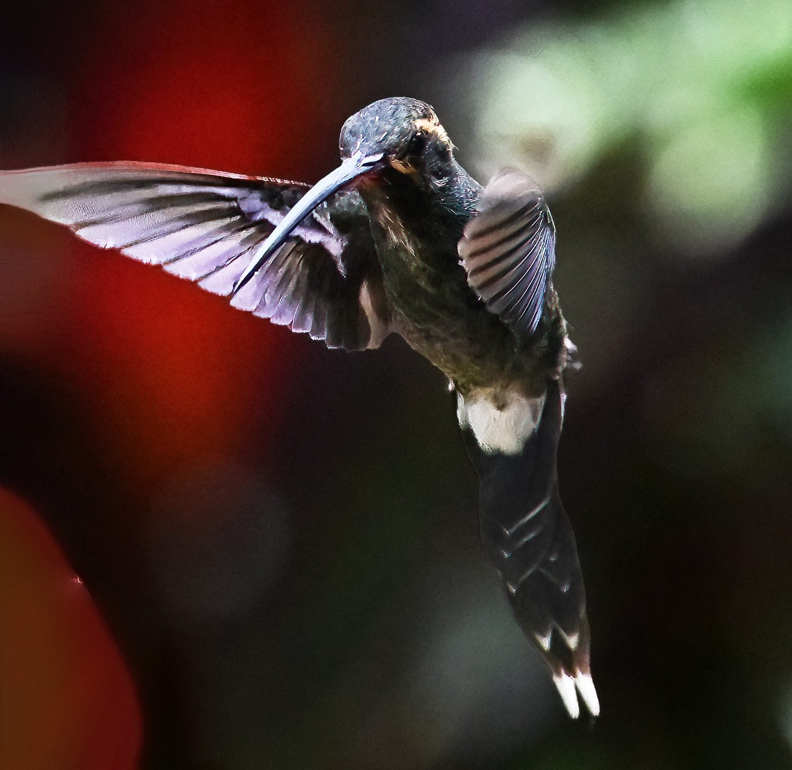 1/11/23 – 3/11/23 : Ecuador