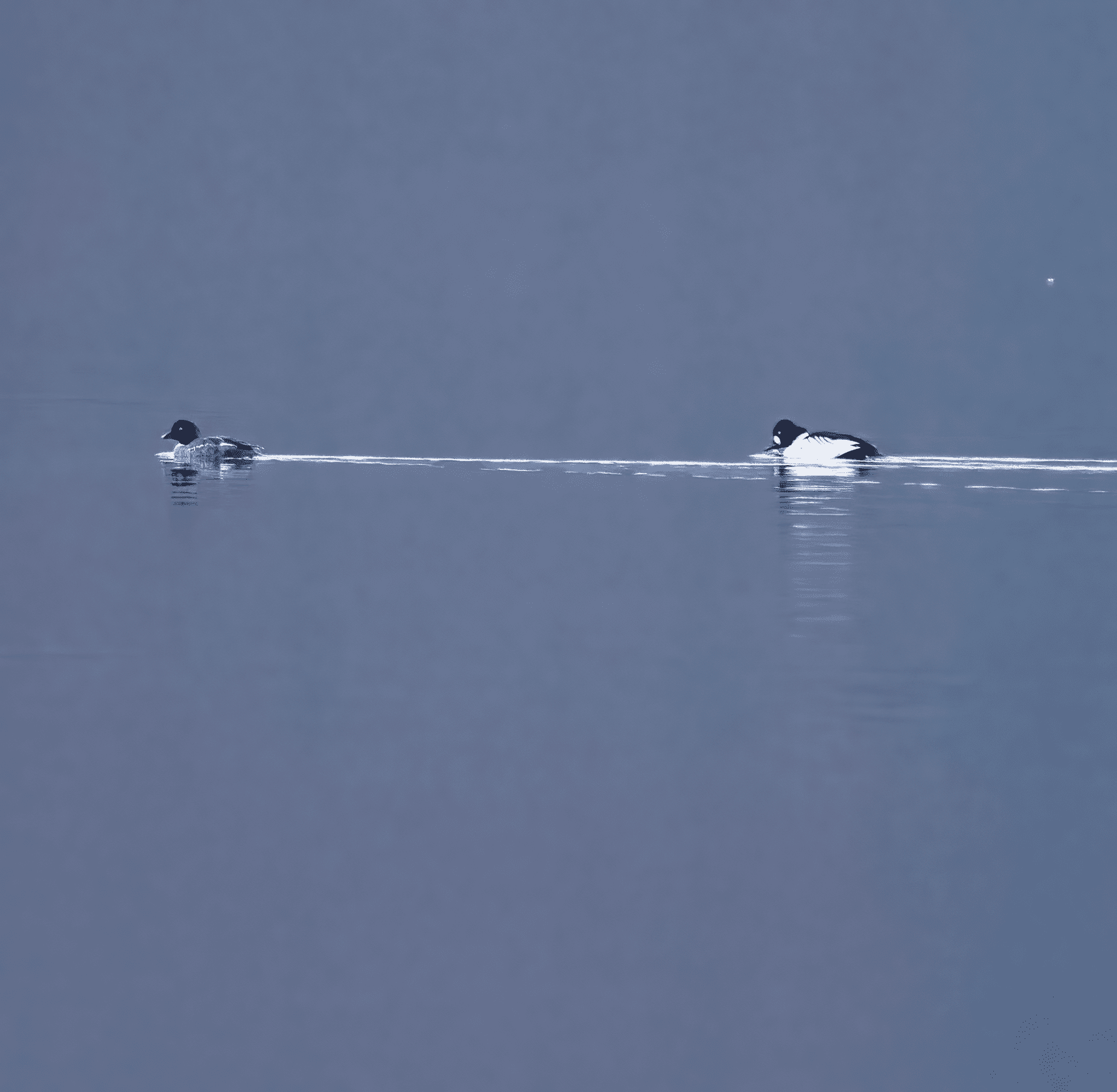20 Feb 2023 : Bassenthwaite Lake