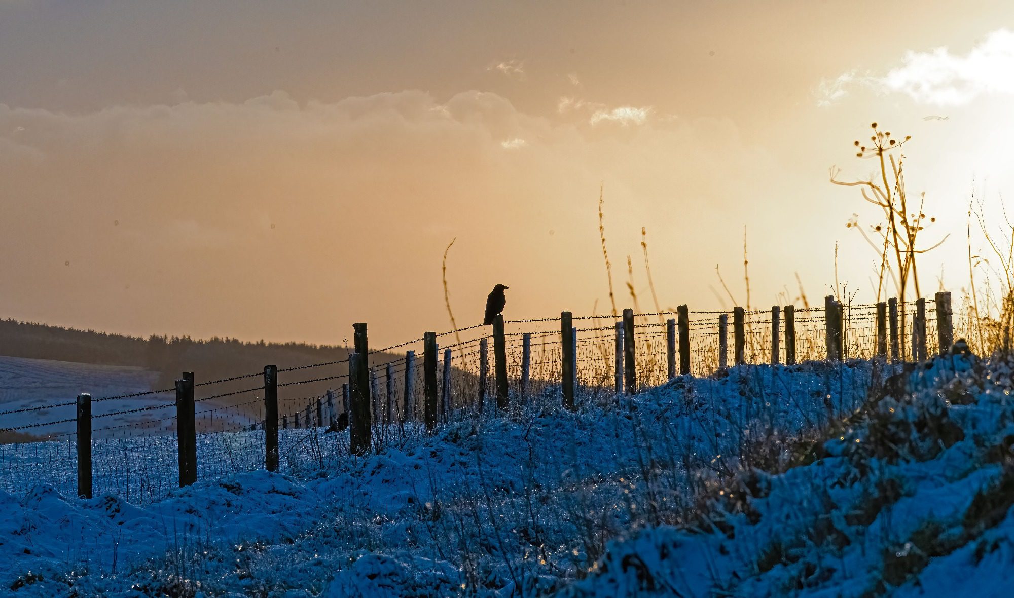 Jan 2023 – 16.01.23 Ennderdale, Cumbria