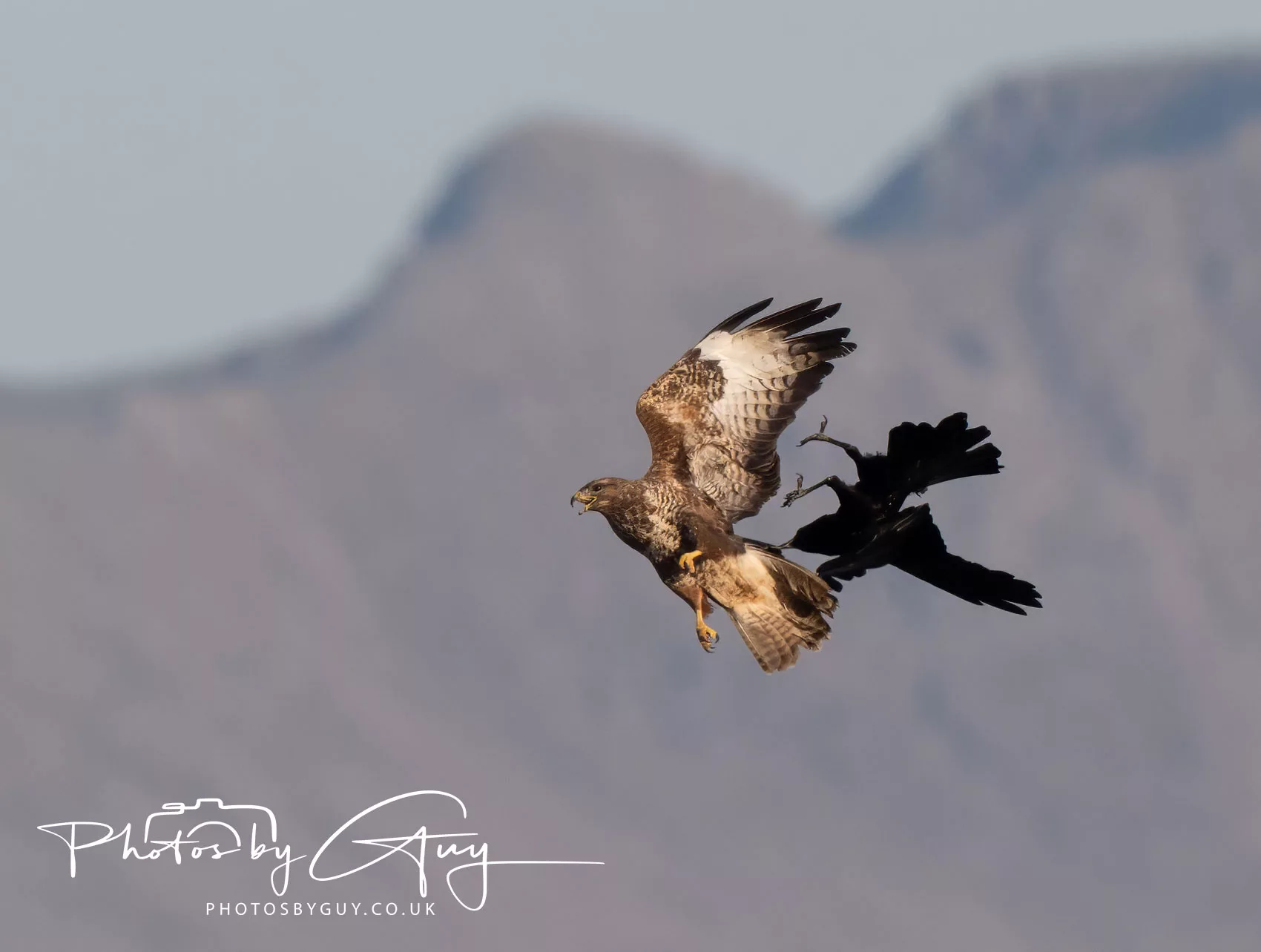 9- 11 April 2025 : Wanderings around Cleator Moor area looking for Owls