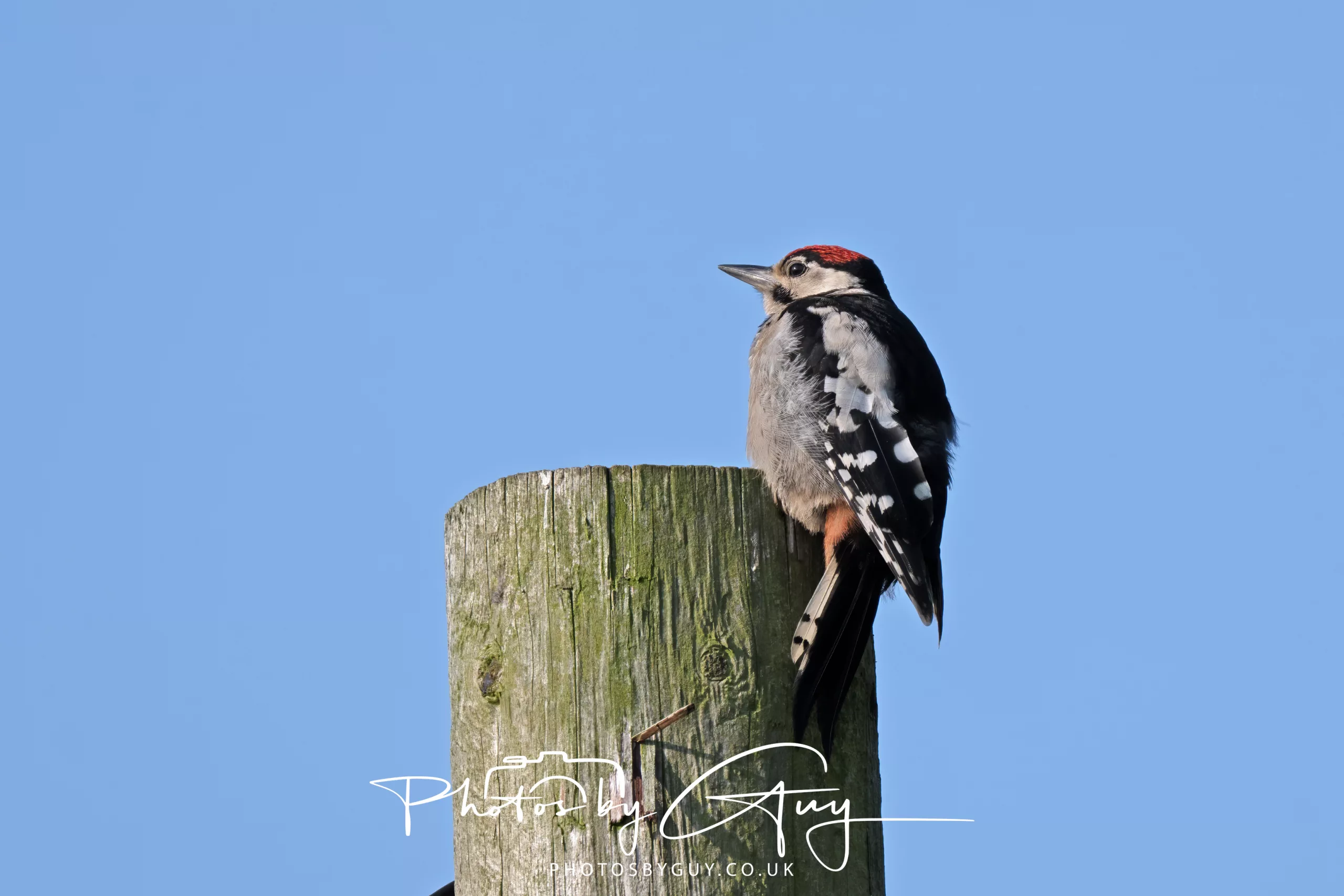 11 June 2025 – Early morning walk around the fields