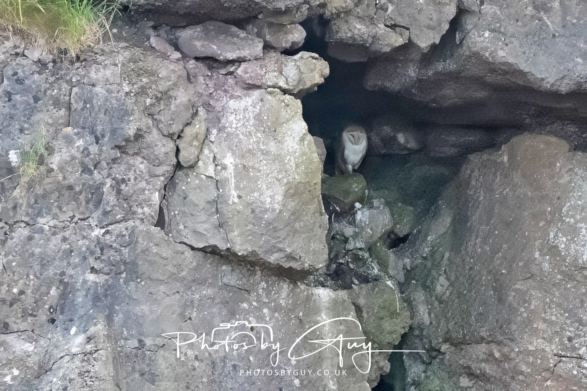 1 to 7 August 2025 : Mixed weather and so only a few short outings