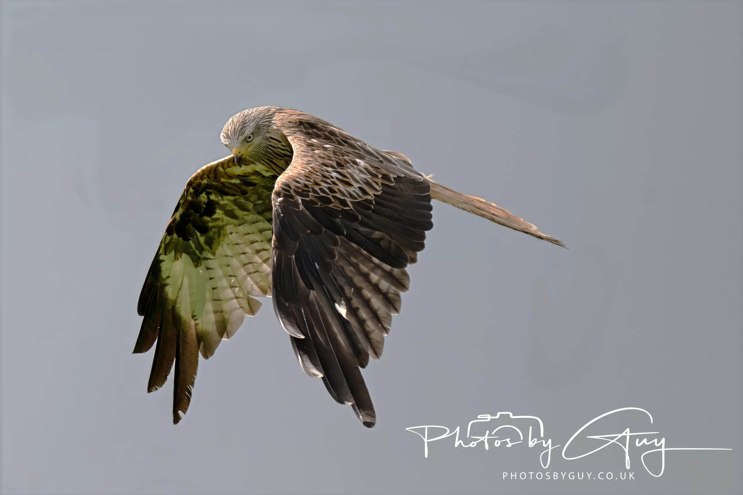 Image is not available