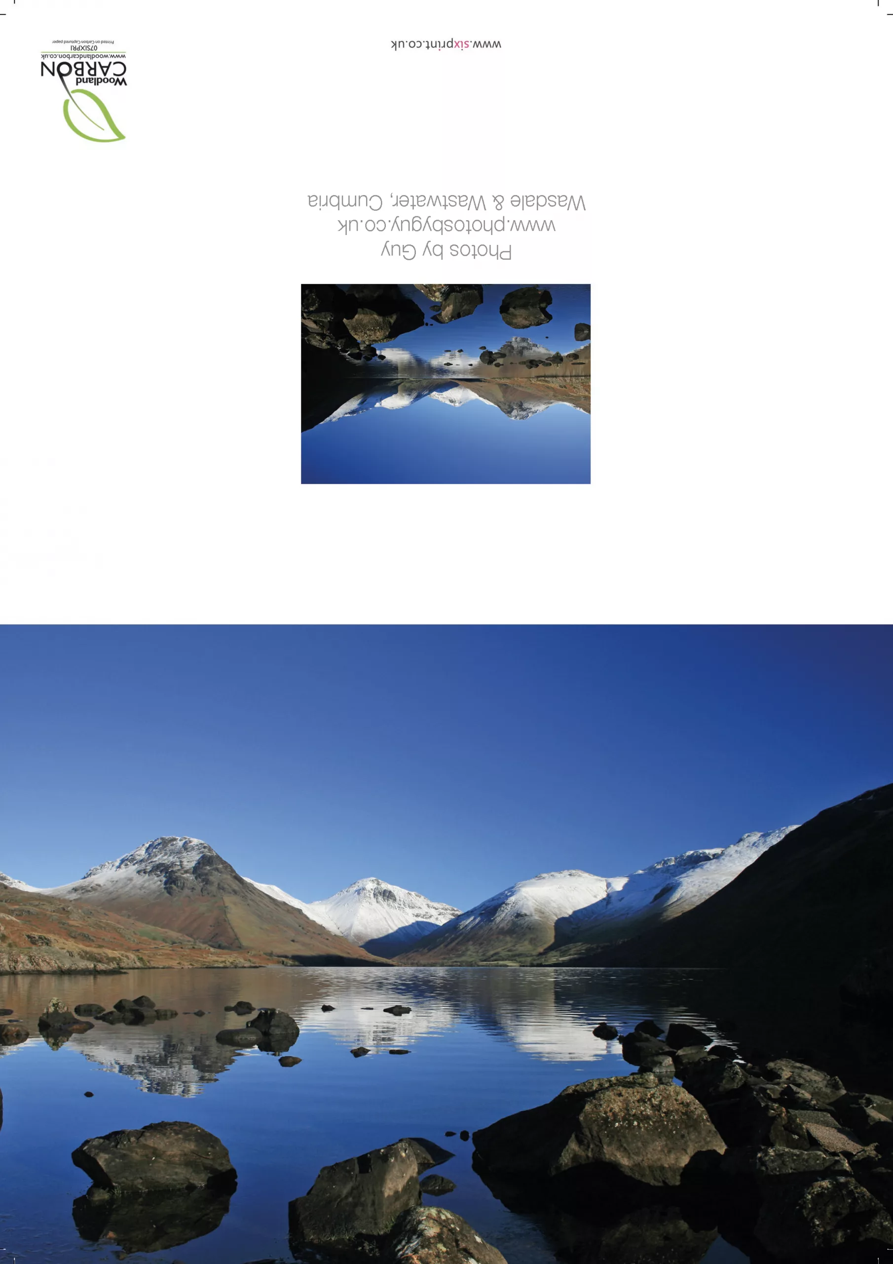 Roe Deer in the grass- A3 Print in wooden frame - Image 3