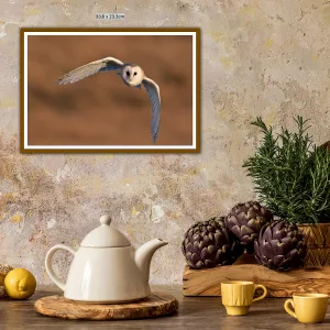 Barn Owl in flight with sunset - A3 Print in a wooden frame