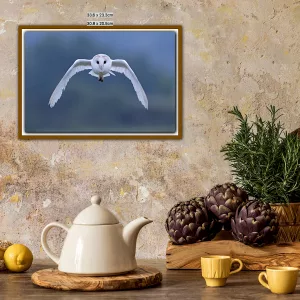 Barn Owl in flight ( Blue ) - A3 Print in a wooden frame
