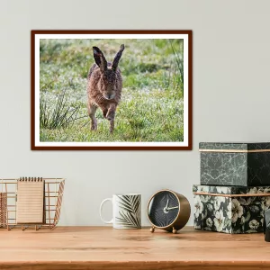 Hare Running towards the camera -A3 Print in a wooden frame
