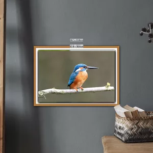 Perched Kingfisher in Cumbria -A3 Print in a wooden frame