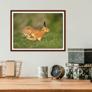 Running Hare in West Cumbria- Framed A3 Print in Wooden Frame