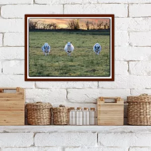 Cumbrian Sheep In A Row - A3 Print in wooden frame