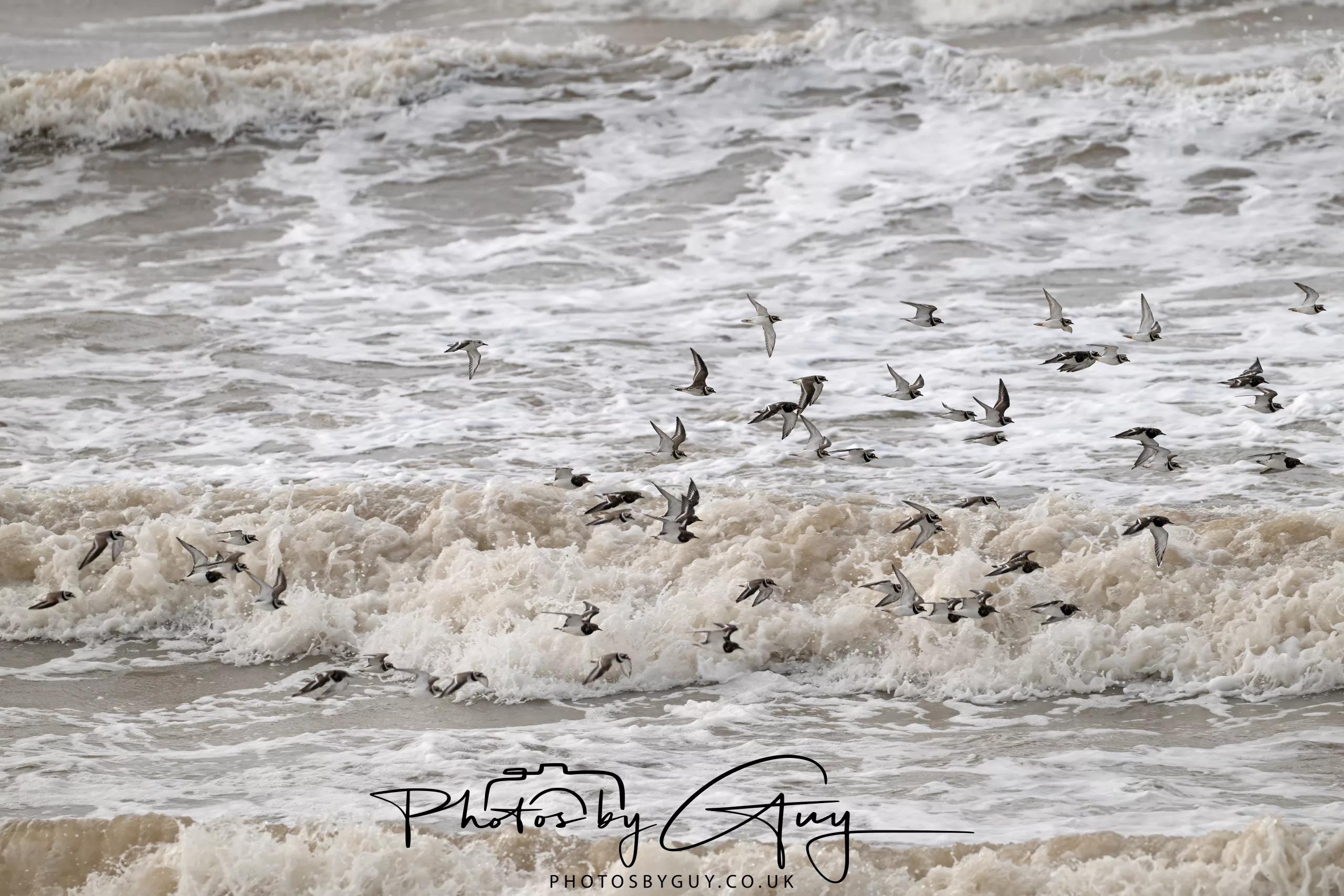 5 October 2025 : Walk around the fields and beach at Beckermet and a few from the trip back from Arran last week