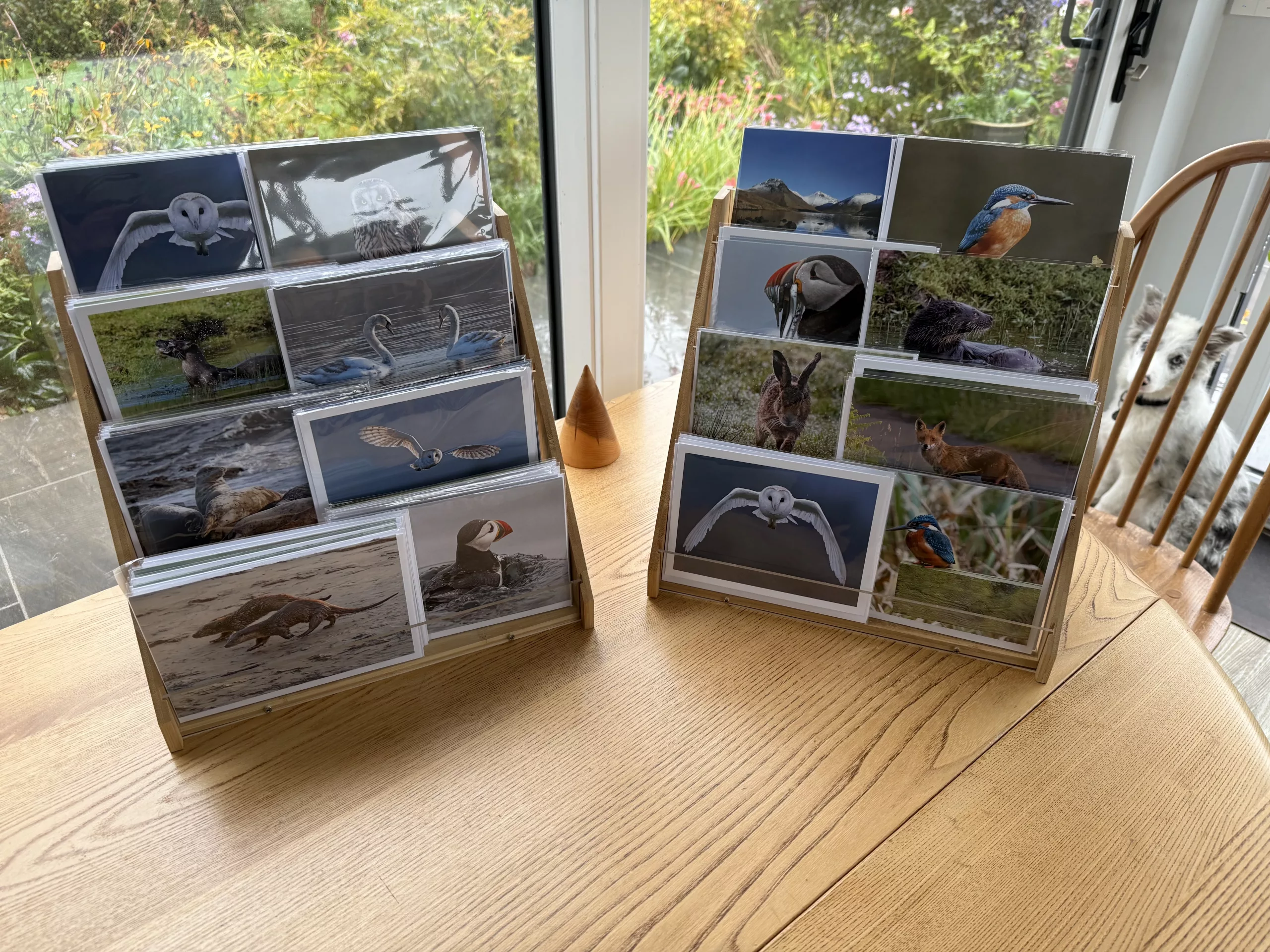 09 October 2025 : New Greetings card stock arrived and sorted