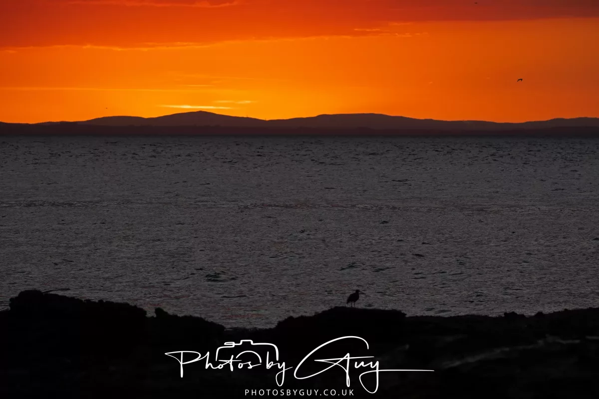 25 September 2025- Arran, Scotland