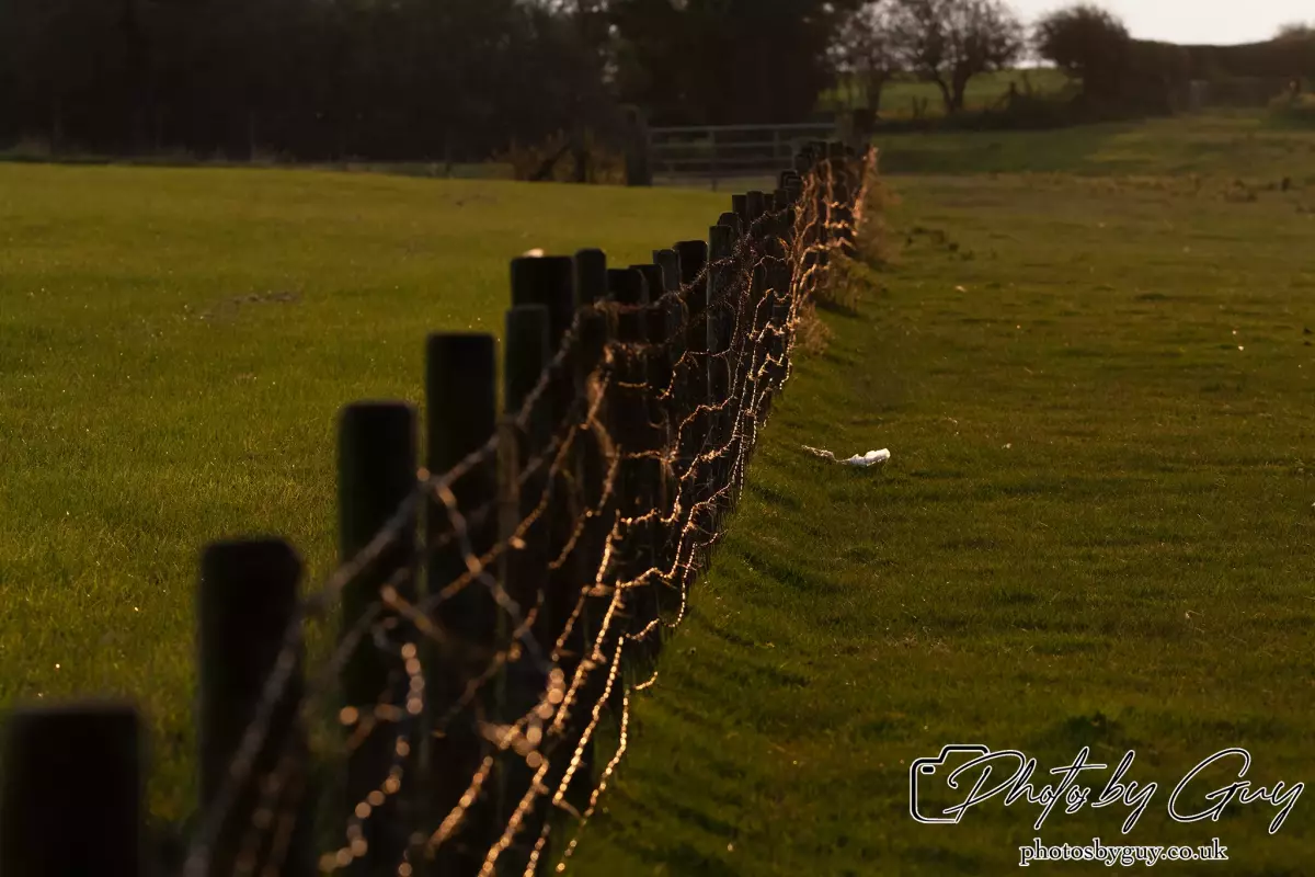 22 Sept 2024 : Parkside, Cumbria