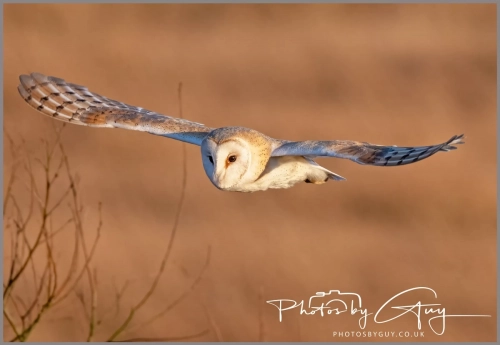 3435930A-FA44-4DFC-BEBE-CD9923332634