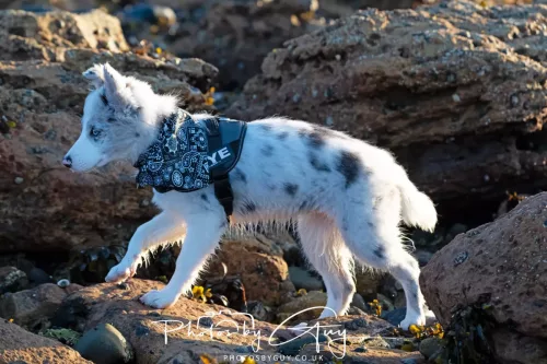 22 September 2025 - Arran, Scotland -Skye