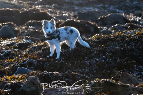 22 September 2025 - Arran, Scotland -Skye