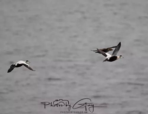 29 Sept 2025 : Ferry back from Arran to Troon