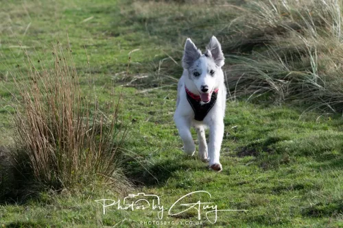 08 November 2025: Drigg Beach and Dunes, Cumbria - Skye