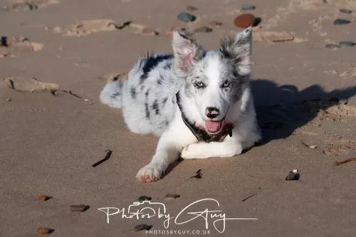 08 November 2025: Drigg Beach and Dunes, Cumbria - Skye