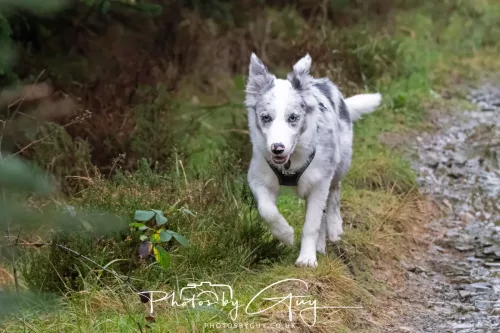 15 Nov 2025: Threlkeld to Keswick Railway walk : 