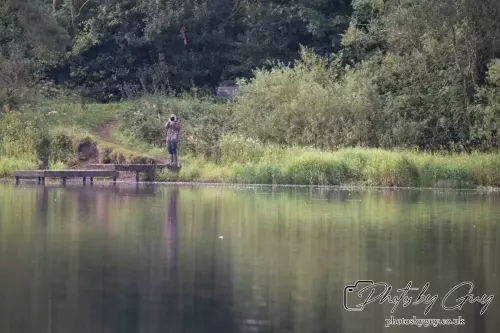 Wildlife Photographers get everywhere !