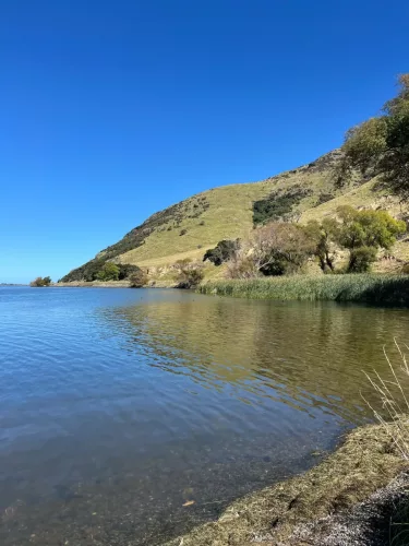 6 March 2025 - Akora, South Island, New Zealand