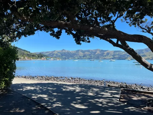 6 March 2025 - Akora, South Island, New Zealand