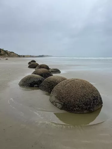 7 March 2025 - Omaru, South Island, New Zealand