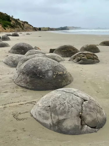 7 March 2025 - Omaru, South Island, New Zealand