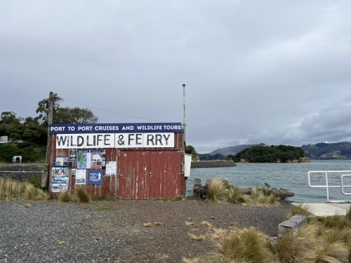 7 March. 2025 Portobello , South Island, New Zealand