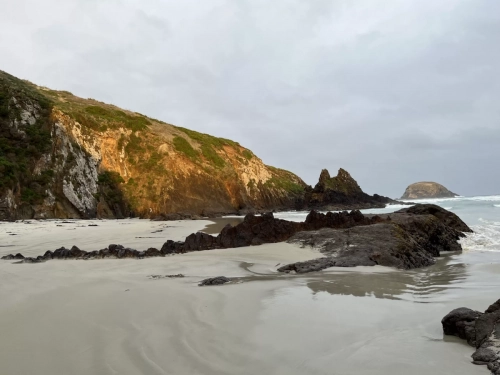 7 March. 2025 Allen Beach , South Island, New Zealand