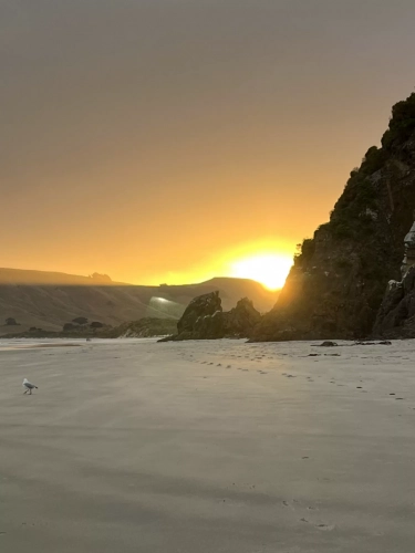 7 March. 2025 Allen Beach , South Island, New Zealand