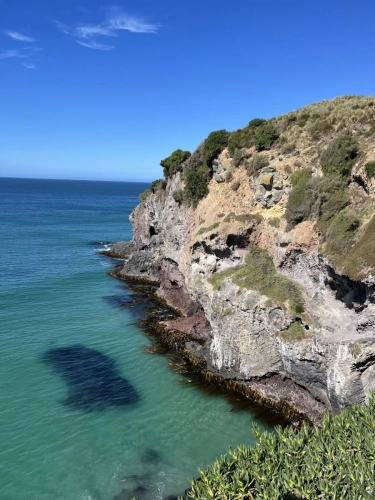 7 March. 2025 Portobello , South Island, New Zealand