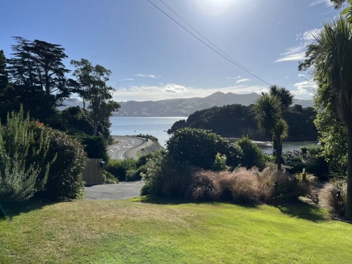 7 March. 2025 Portobello , South Island, New Zealand