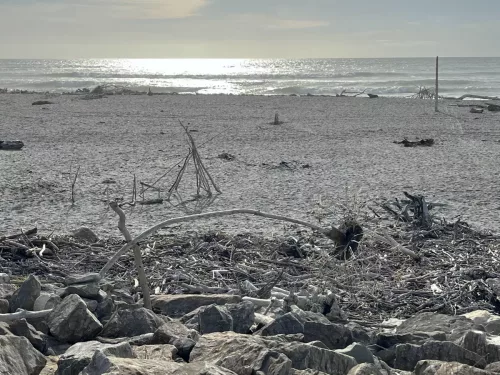 25/26 March 2025 - New Zealand, Honiker to Christchurch via the trans alpine train - Hokitika