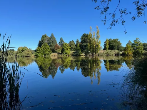 27 - 30 March kiakoura New Zealand