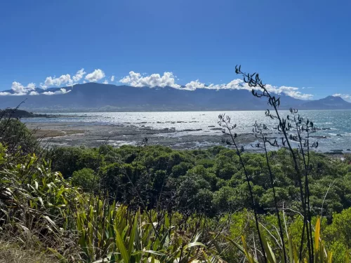 27 - 30 March kiakoura New Zealand