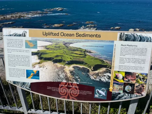 27 - 30 March kiakoura New Zealand