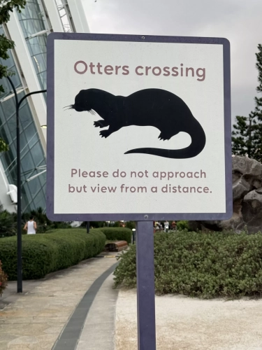 2,4 March & 1,2 April 2025 : Singapore - Gardens by the Bay