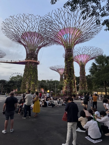2,4 March & 1,2 April 2025 : Singapore - Super trees at Gardens by the Bay