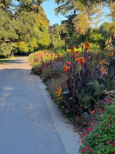 5 March 2025 - Christchurch, South Island, New Zealand