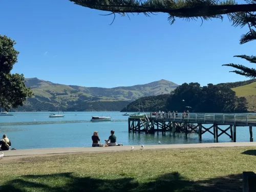 6 March 2025 - Akora, South Island, New Zealand
