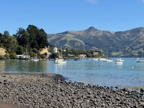 6 March 2025 Christchurch, New Zealand South Island, Akora