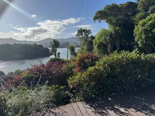7 March. 2025 Portobello , South Island, New Zealand