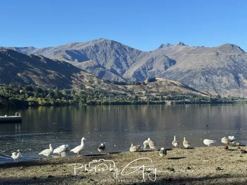 IMG_2941-March 2025, New Zealand South Island - Queenstown to Wanaka