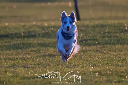 24 Jan 2026 - Walking Skye