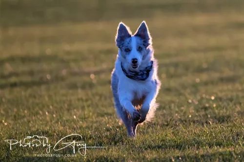 24 Jan 2026 - Walking Skye