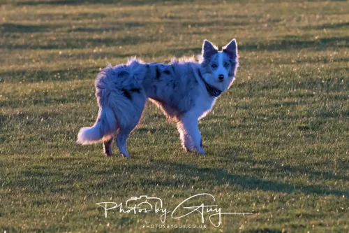 24 Jan 2026 - Walking Skye