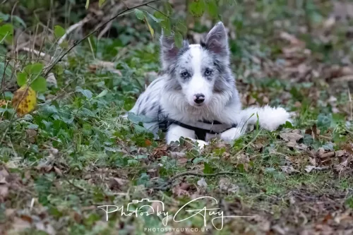 23 December 2025 Parkside, Cumbria - Skye